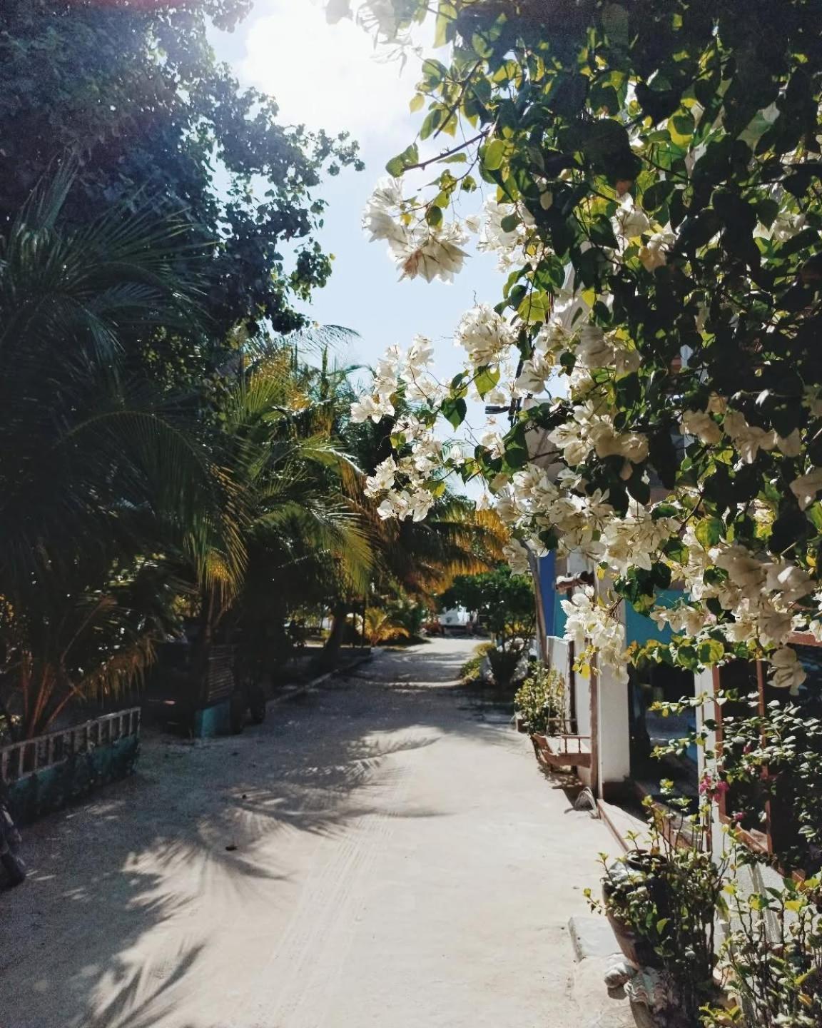 Kudhi Boli Beach House Thulusdhoo Exteriör bild