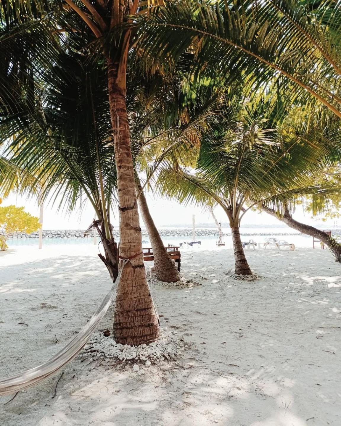Kudhi Boli Beach House Thulusdhoo Exteriör bild