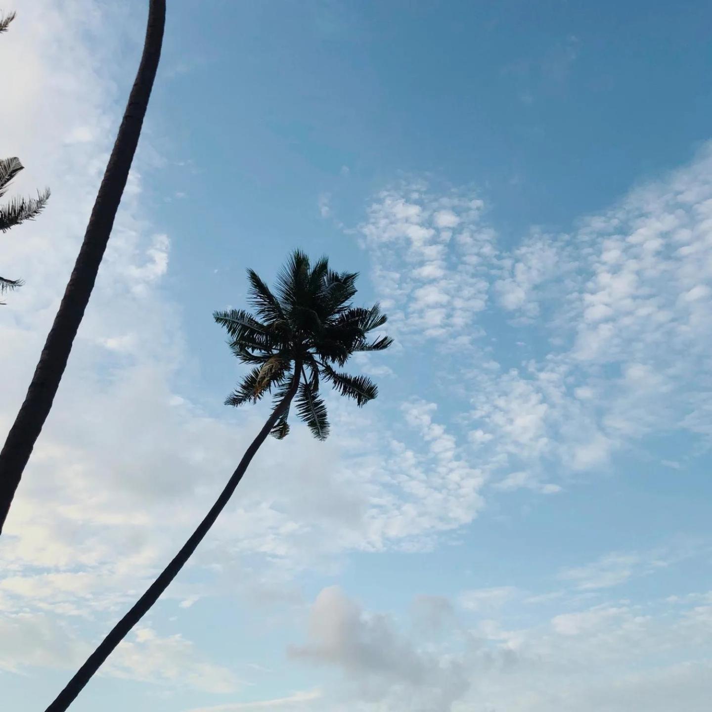 Kudhi Boli Beach House Thulusdhoo Exteriör bild