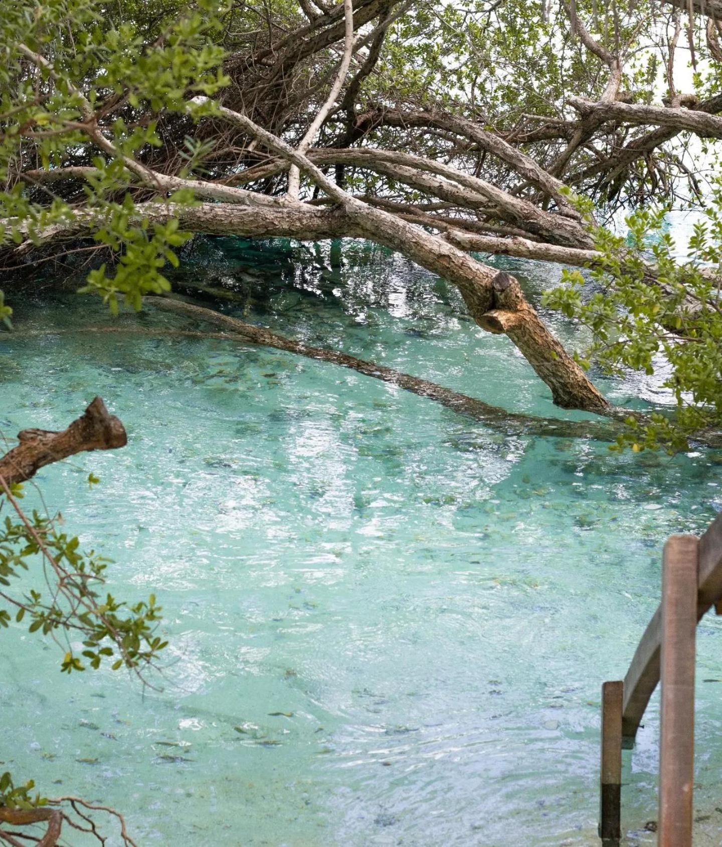 Kudhi Boli Beach House Thulusdhoo Exteriör bild